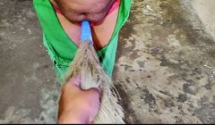Indian Desi maid fuking hard-core